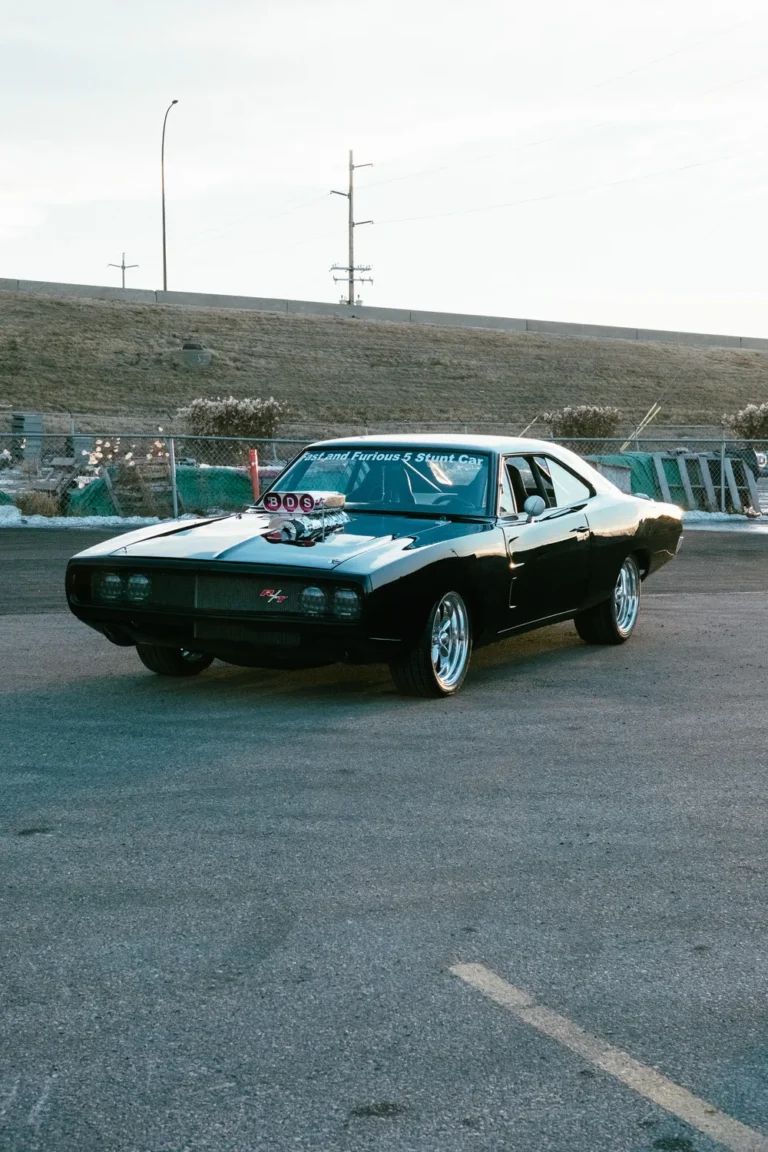 1970 Dodge Charger picture car, photo 8 of 22