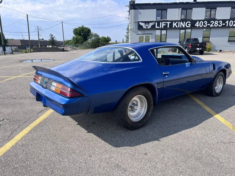 1981 Chevrolet Camaro z28 picture car, photo 11 of 11