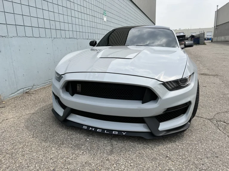 2016 Shelby GT350 Custom picture car, photo 2 of 9