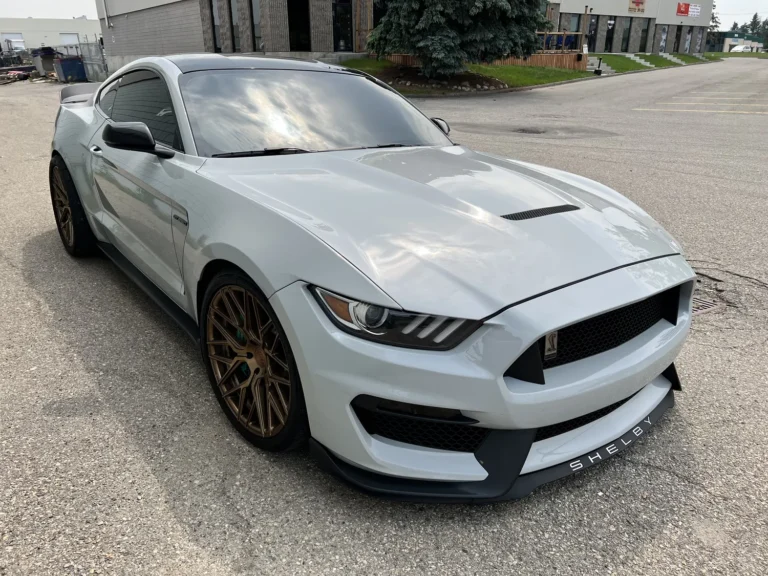 2016 Shelby GT350 Custom picture car, photo 3 of 9
