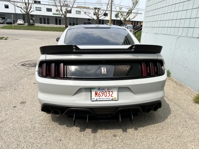 2016 Shelby GT350 Custom picture car, photo 4 of 9