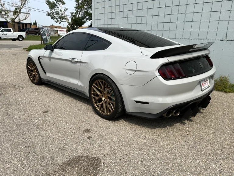 2016 Shelby GT350 Custom picture car, photo 5 of 9