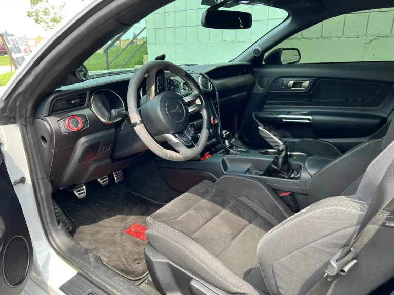 2016 Shelby GT350 Custom picture car, photo 6 of 9