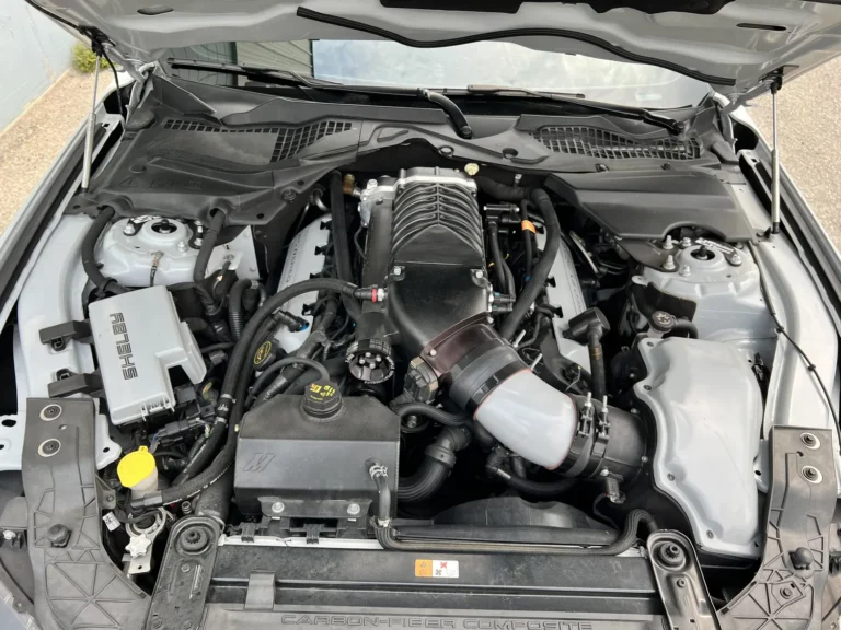 2016 Shelby GT350 Custom picture car, photo 8 of 9