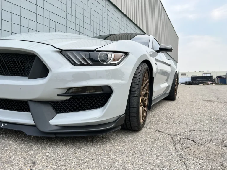 2016 Shelby GT350 Custom picture car, photo 9 of 9